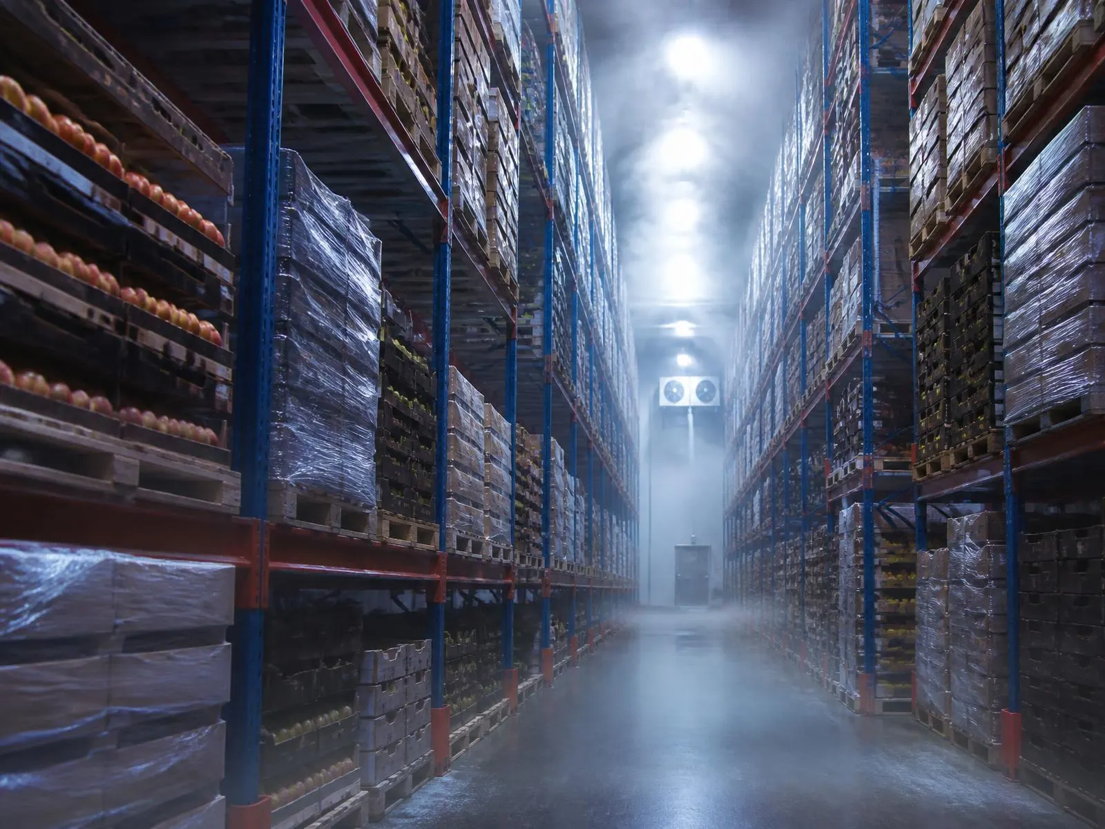 Racked pallets of boxed fresh fruit inside a large cold storage facility