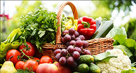 Neelay Agro