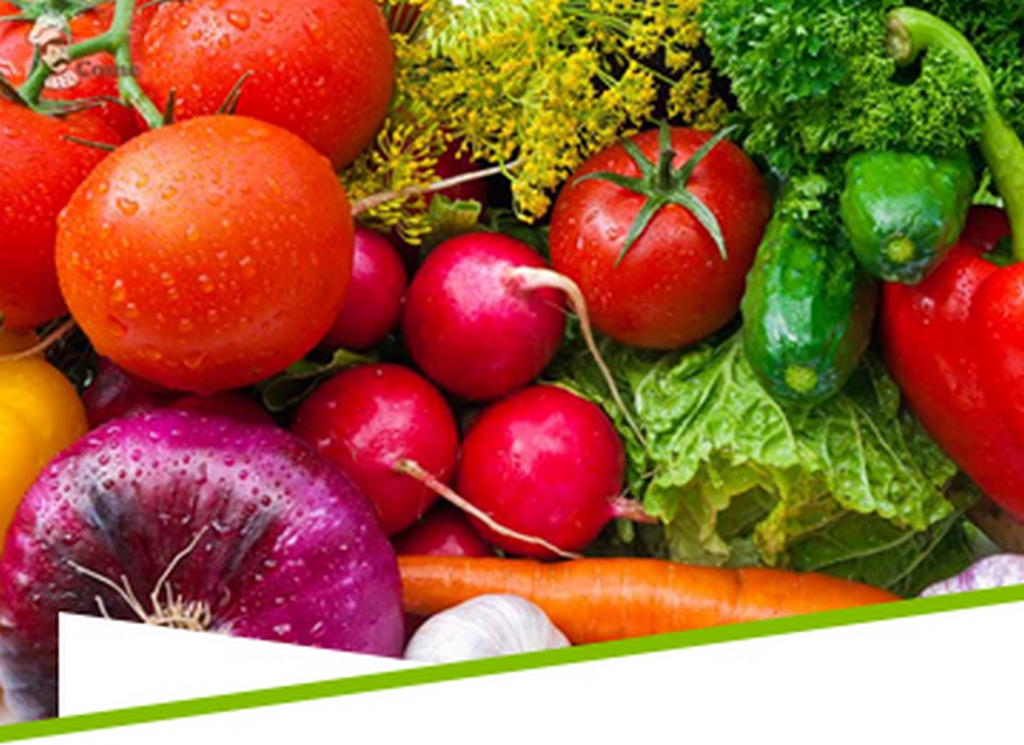 Neelay Agro