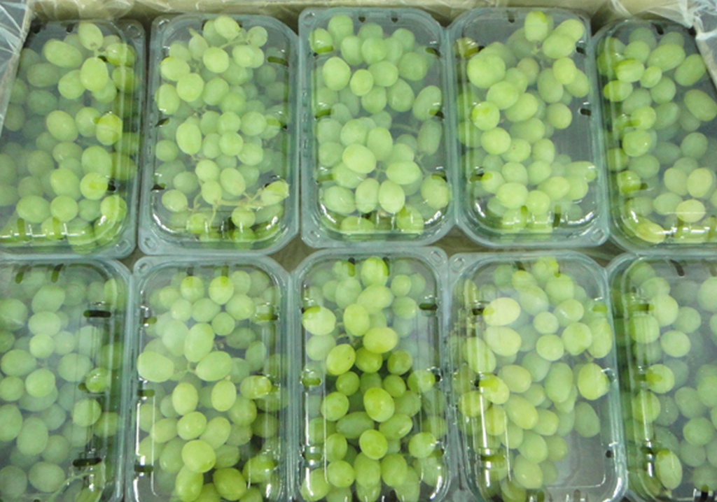 Neelay Agro