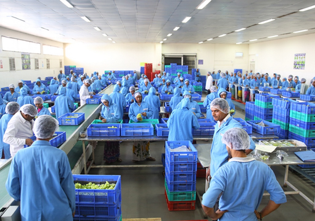 Neelay Agro