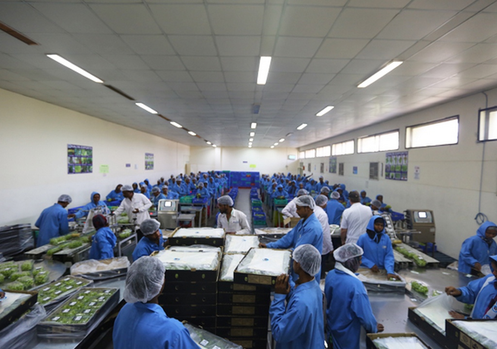 Neelay Agro