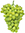 Neelay Agro